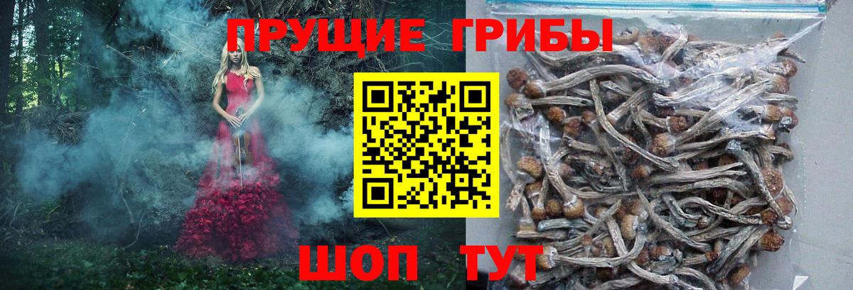 Галлюциногенные грибы мухоморы Нальчик
