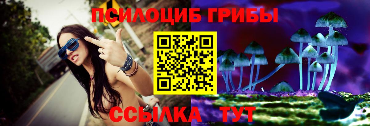 Нальчик  продажа наркотиков  Вход с VPN  Галлюциногенные грибы GOLDEN TEACHER 